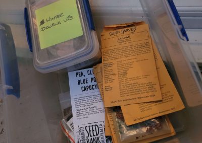 Top tips to store your seeds successfully 3