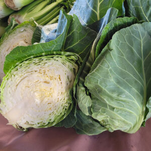 Sugarloaf Cabbage